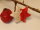 8 Keramik Sterne Mini in rot