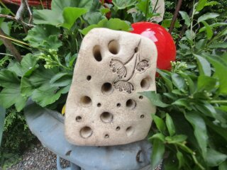 Bienenstein Pusteblume