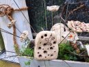 Bienenstein Pusteblume
